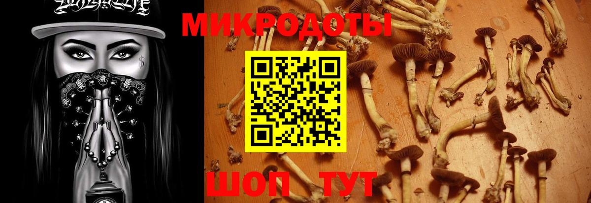 Псилоцибиновые грибы MAGIC MUSHROOMS Октябрьский